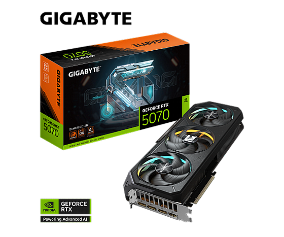 ���� ������� ����� ���� 