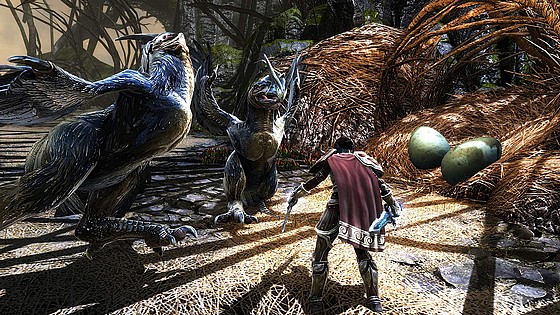���� ������� ����� Kingdoms of Amalur Re-Reckoning - Switch