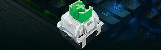  ��� ����� �������  -  RAZER BLACKWI V3 PRO