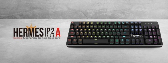 HERMES P2A ����� ��� Gamdias  �����