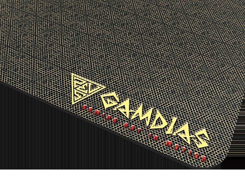 ZEUS e2 ��� Gamdias ���� �����+����